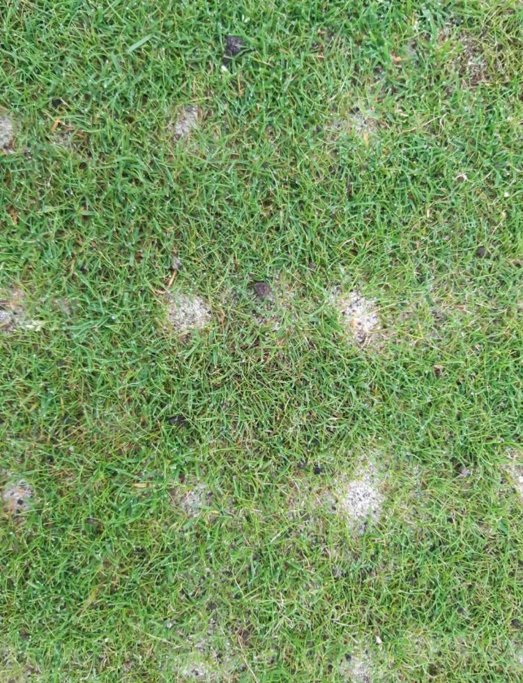 Resultaat van bewerking met de Topchanger Resultaat van bewerking met de Topchanger