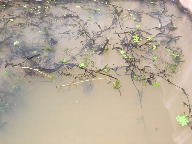 Slechte zuurstofomstandigheden Slechte zuurstofomstandigheden