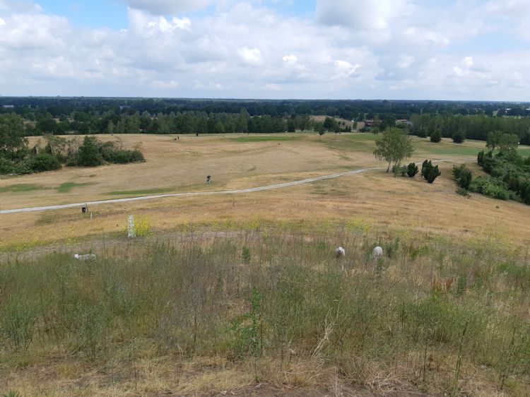 Het uitzicht vanaf de berg op de golfbaan. De berg wordt begraasd door schapen. Het uitzicht vanaf de berg op de golfbaan. De berg wordt begraasd door schapen.