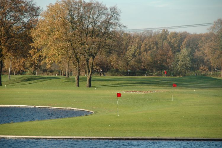 Een archieffoto van Bergvliet.