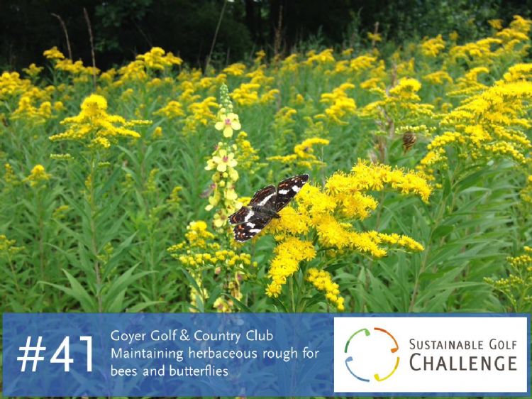 Figuur 1: Landkaartje op Canadese Guldenroede