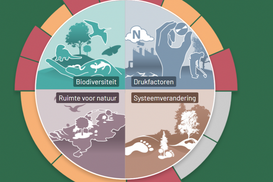 De vier hoofdthema's